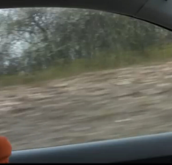 Auf dem Weg zum Kunden 2 - Video von Scheidtweiler PR