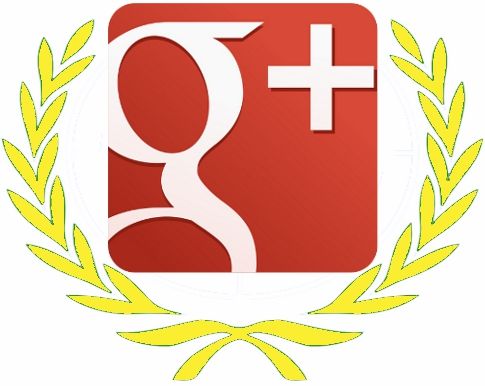 Google+ 2013 - Social Media