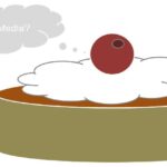 Artikel: Earned Media: Die Kirsche auf der Sahne Earned Media - Scheidtweiler PR Bremen