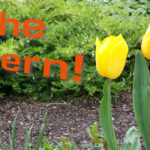 Frohe Ostern aus Bremen!