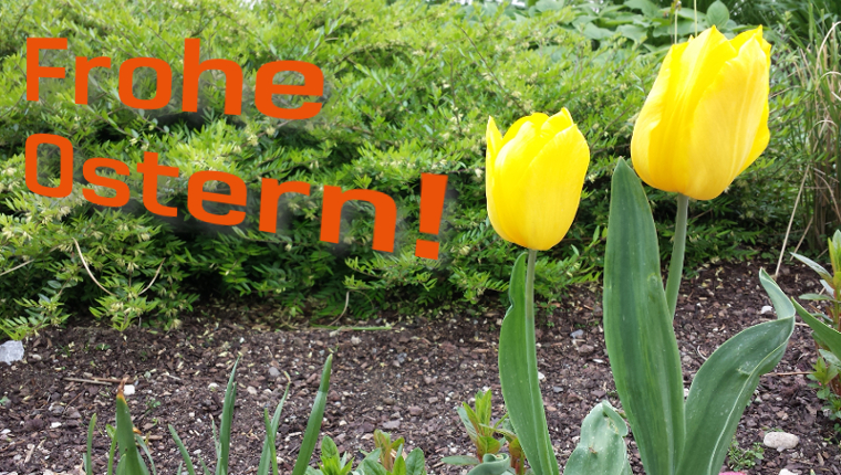 Frohe Ostern aus Bremen!