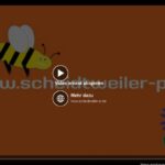 Facebook - benutzerdefinierter Handlungsaufruf beim Video Titelbild - PR Agentur Bremen