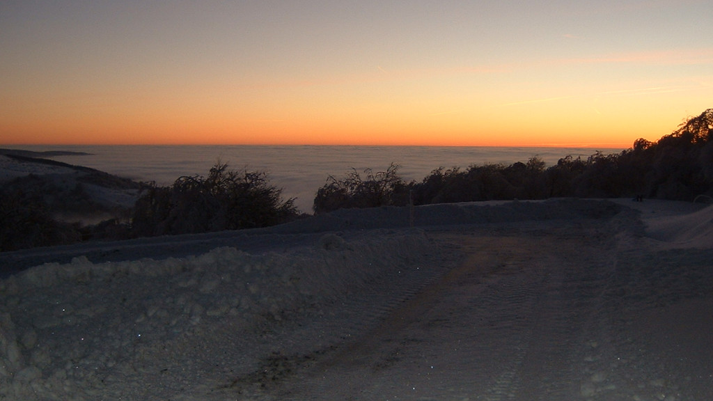 Prognose Kommunikation Marketing PR 2016 - PR-Blog