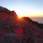 Backlinks für SEO - PR-Newsletter