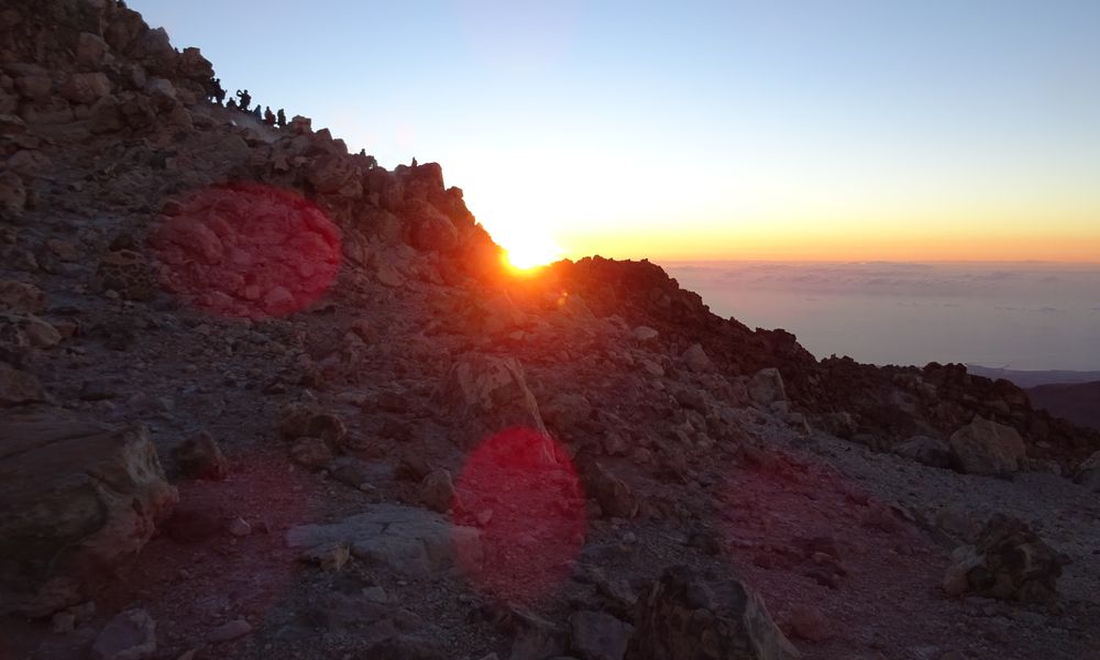 Backlinks für SEO - PR-Newsletter