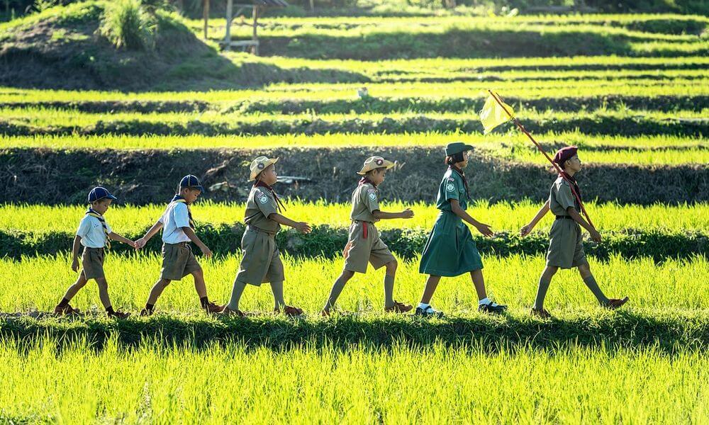 Crowdmarketing schlägt Marktforschung - oder nicht - Newsletter 01-2018