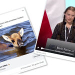 Kinder und Tiere gehen immer - PR-Newsletter 01-2019