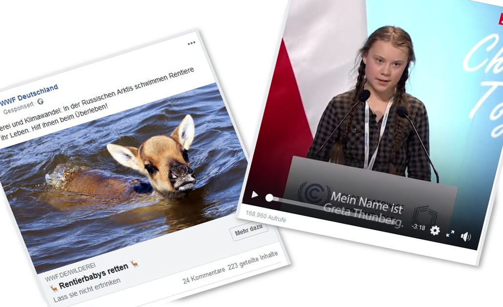 Kinder und Tiere gehen immer - PR-Newsletter 01-2019