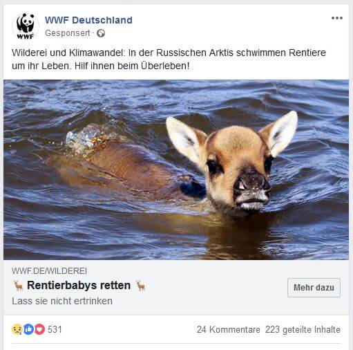 WWF - Nachrichtenwerte in PR und Marketing nutzen - Der deutsche PR Blog